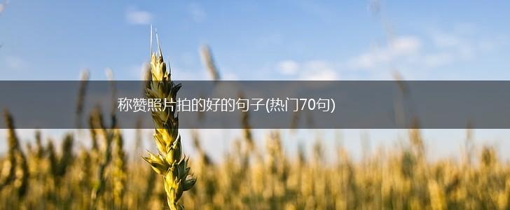 称赞照片拍的好的句子(热门70句),第1张