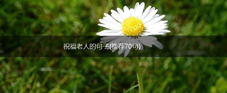 祝福老人的句子(推荐70句),第1张
