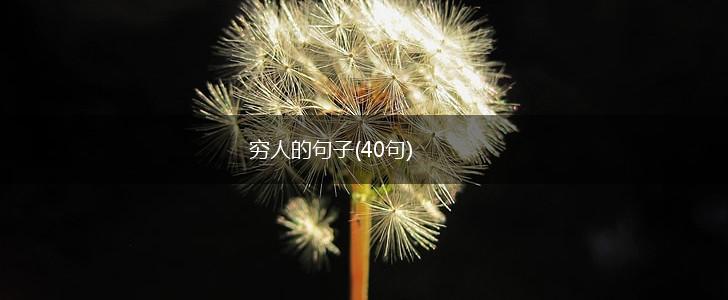 穷人的句子(40句),第1张
