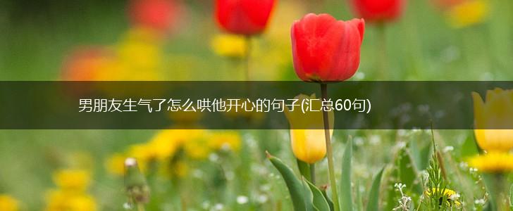 男朋友生气了怎么哄他开心的句子(汇总60句),第1张
