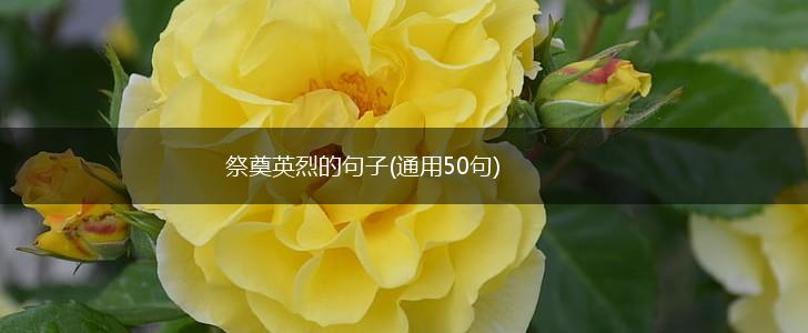 祭奠英烈的句子(通用50句),第1张