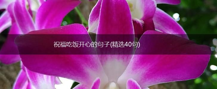 祝福吃饭开心的句子(精选40句),第1张