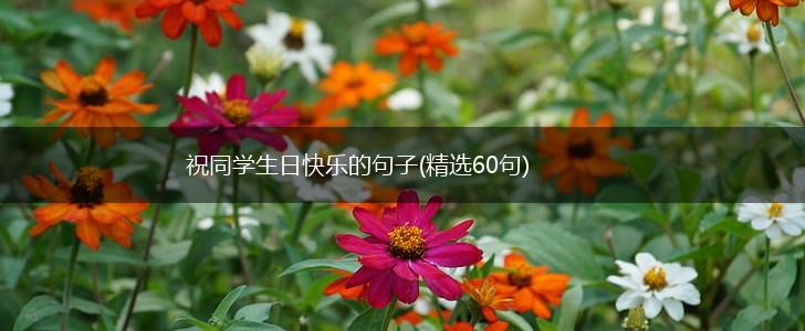 祝同学生日快乐的句子(精选60句),第1张