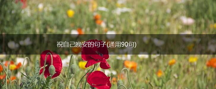 祝自己晚安的句子(通用90句),第1张