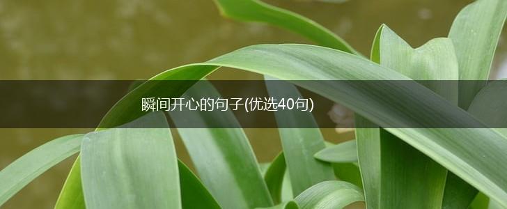 瞬间开心的句子(优选40句),第1张