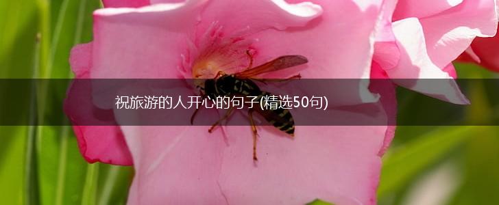 祝旅游的人开心的句子(精选50句),第1张
