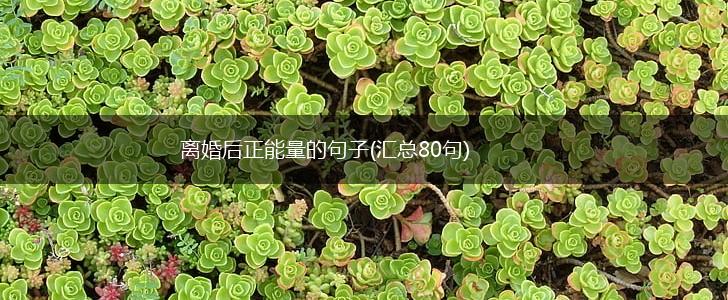 离婚后正能量的句子(汇总80句),第1张