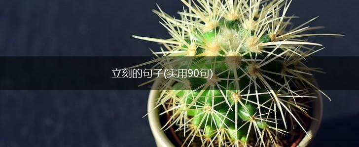 立刻的句子(实用90句),第1张