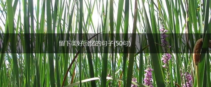 留下美好回忆的句子(50句),第1张