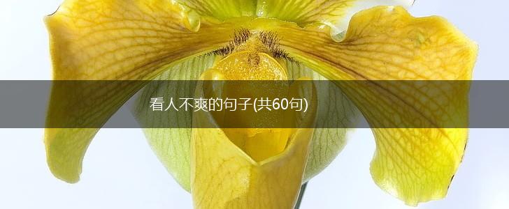 看人不爽的句子(共60句),第1张