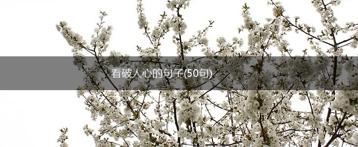 看破人心的句子(50句),第1张