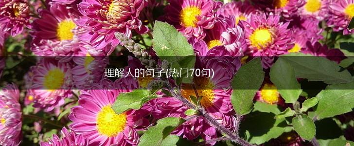 理解人的句子(热门70句),第1张
