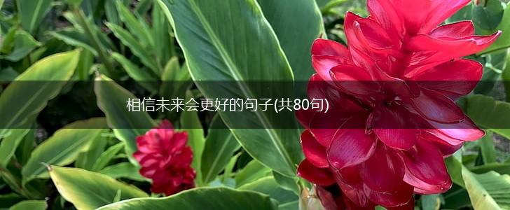 相信未来会更好的句子(共80句),第1张