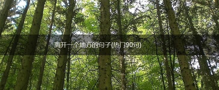 离开一个地方的句子(热门90句),第1张