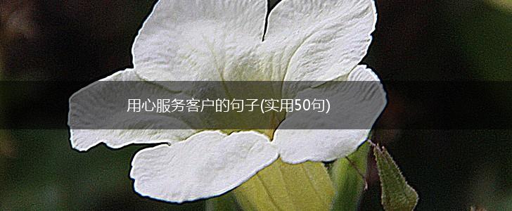 用心服务客户的句子(实用50句),第1张