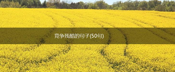 竞争残酷的句子(50句),第1张