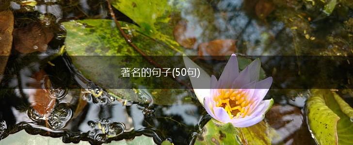 著名的句子(50句),第1张