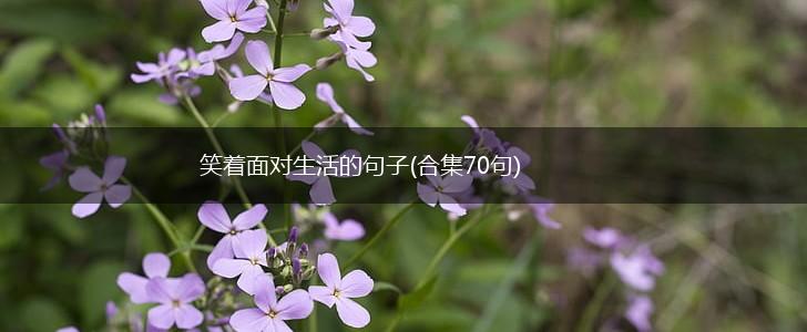 笑着面对生活的句子(合集70句),第1张