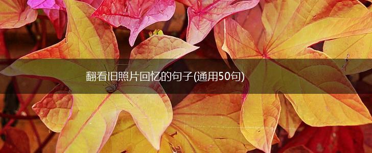翻看旧照片回忆的句子(通用50句),第1张