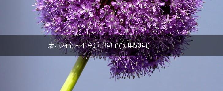 表示两个人不合适的句子(实用50句),第1张