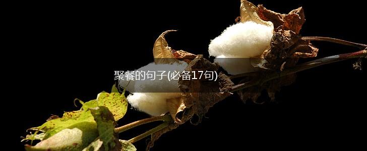 聚餐的句子(必备17句),第1张