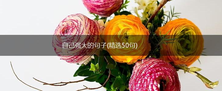 自己强大的句子(精选50句),第1张