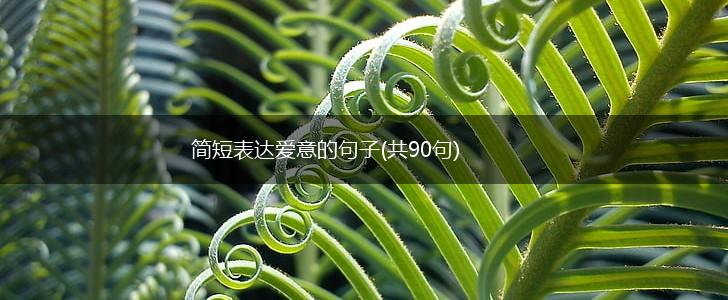 简短表达爱意的句子(共90句),第1张