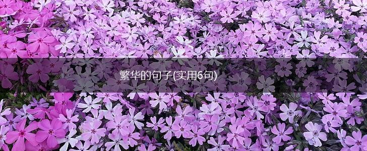 繁华的句子(实用6句),第1张