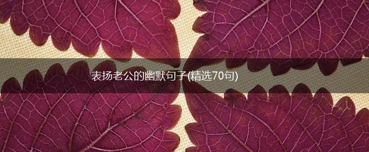 表扬老公的幽默句子(精选70句),第1张