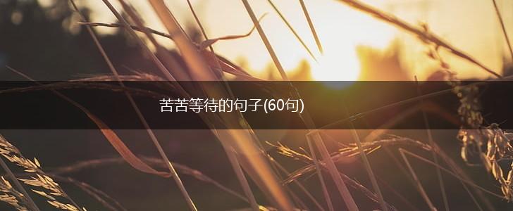 苦苦等待的句子(60句),第1张