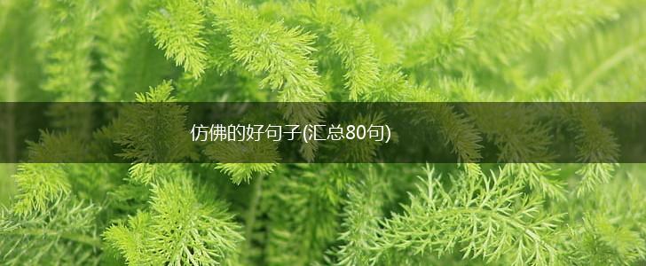 仿佛的好句子(汇总80句),第1张