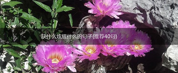 缺什么炫耀什么的句子(推荐40句),第1张