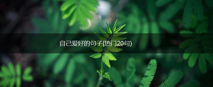 自己爱好的句子(热门20句),第1张