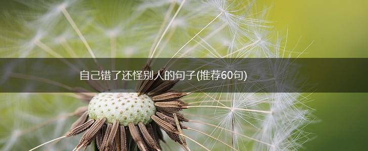 自己错了还怪别人的句子(推荐60句),第1张