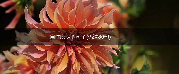 自作聪明的句子(优选80句),第1张