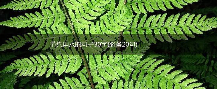 节约用水的句子30字(必备20句),第1张