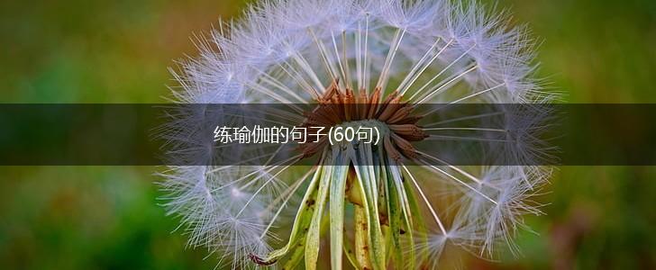 练瑜伽的句子(60句),第1张