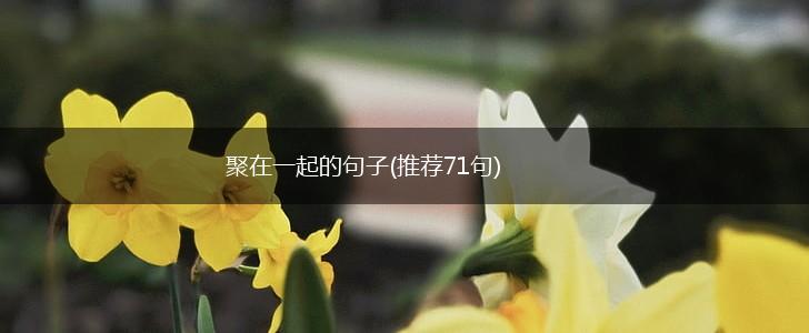 聚在一起的句子(推荐71句),第1张