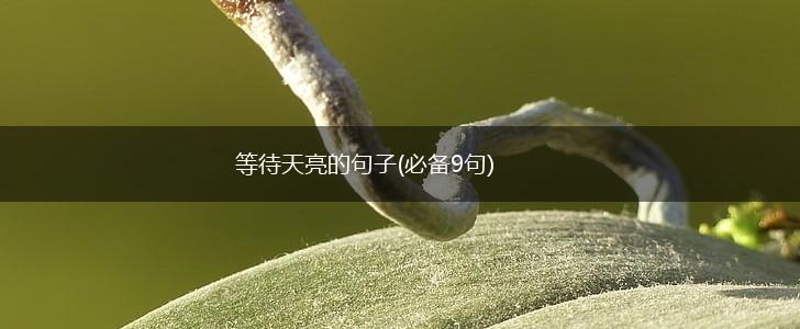等待天亮的句子(必备9句),第1张