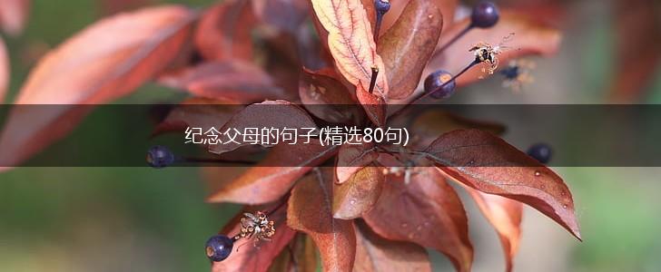 纪念父母的句子(精选80句),第1张
