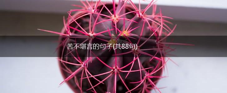 苦不堪言的句子(共88句),第1张