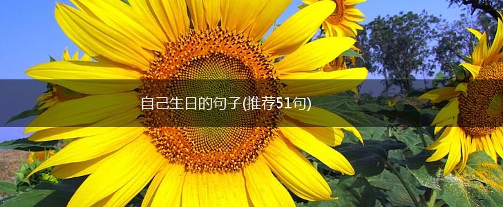 自己生日的句子(推荐51句),第1张