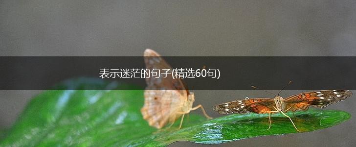 表示迷茫的句子(精选60句),第1张