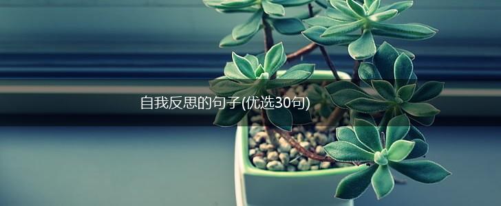自我反思的句子(优选30句),第1张