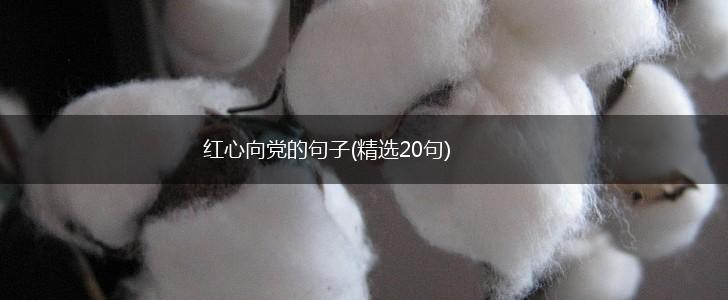 红心向党的句子(精选20句),第1张