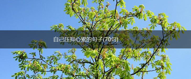自己压抑心累的句子(70句),第1张