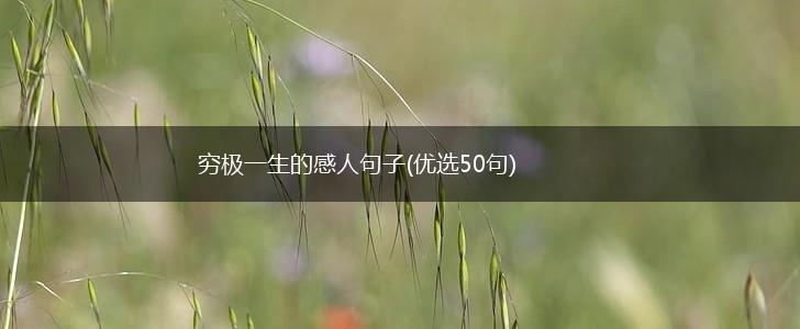 穷极一生的感人句子(优选50句),第1张
