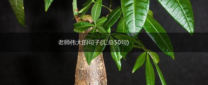 老师伟大的句子(汇总50句),第1张