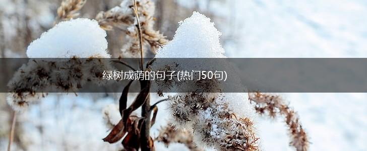 绿树成荫的句子(热门50句),第1张