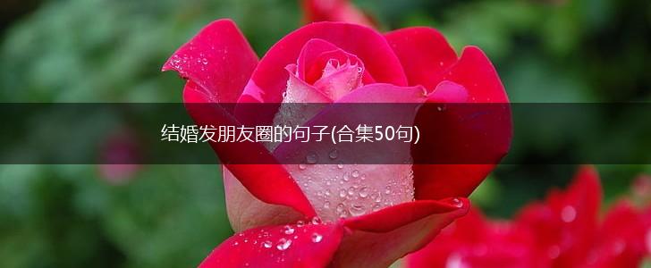 结婚发朋友圈的句子(合集50句),第1张